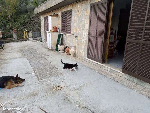A vendre dépendance à LATTE VENTIMIGLIA