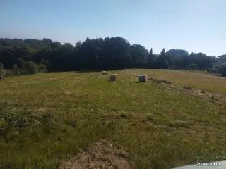 Terrain agricole Lasserre de Cazaux