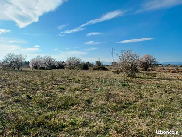 Terrain agricole