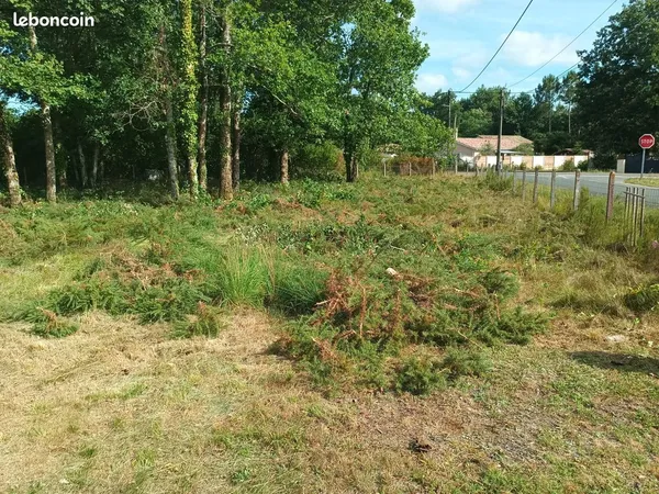 Terrain constructible
