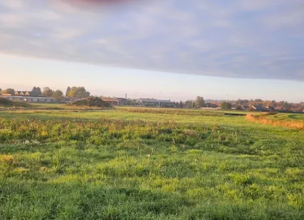Terrain 462 m²