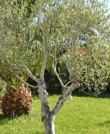 Maison 5 pièces 115 m²