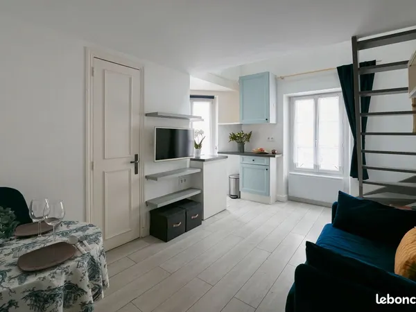 A louer loft cosy de 2 pièces meublé 28 m Paris 15 quartier Commerce