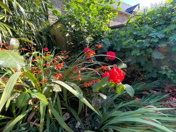 Maison de charme à Collinée - 133 m² - 4 chambres - jardin clos