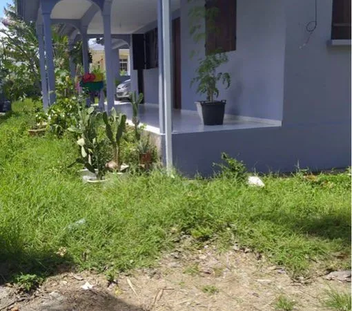 🏡 À VENDRE - MAISON 100 m² À PETIT-CANAL (GUADELOUPE) 🌴 ✨ BELLE OPPORTUNITÉ À SAISIR