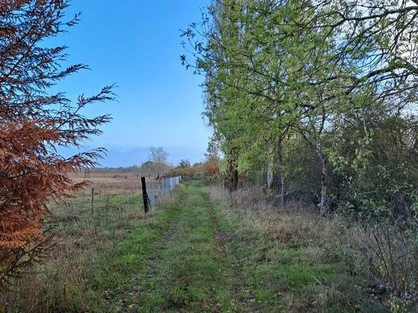 Terrain pour chevaux