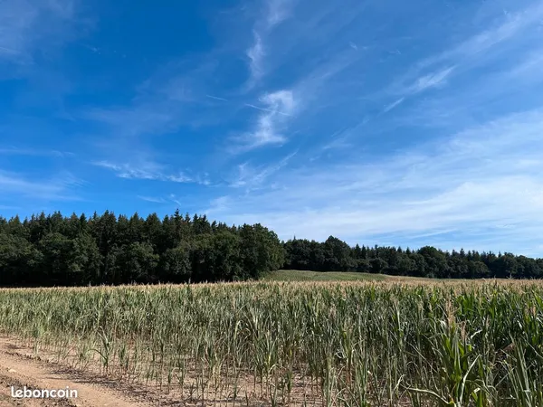 Location terres chasse
