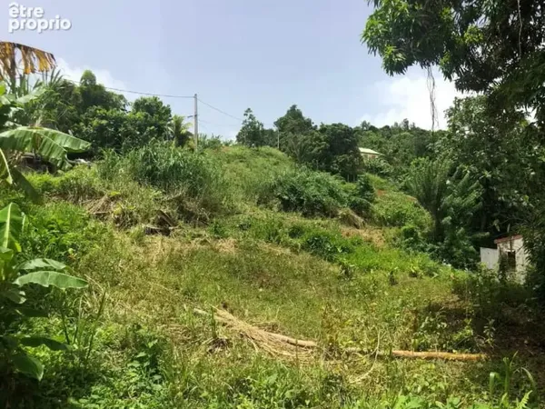 Terrain 653 m²