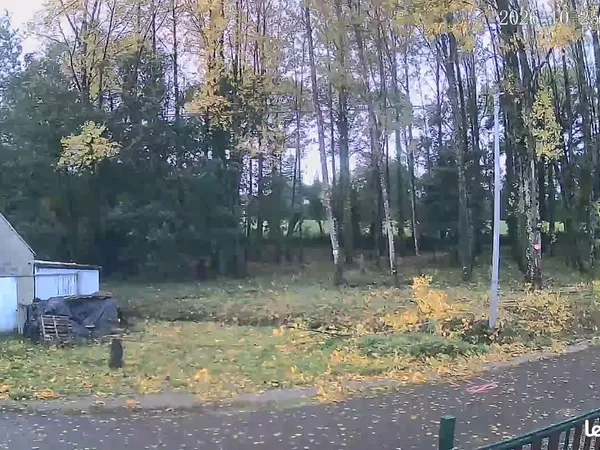 Terrain boisé