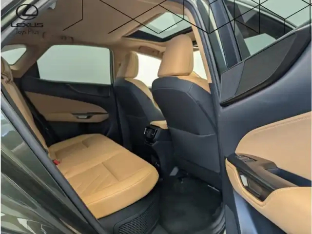Lexus Nx 450h+ 4wd executive — photo 16