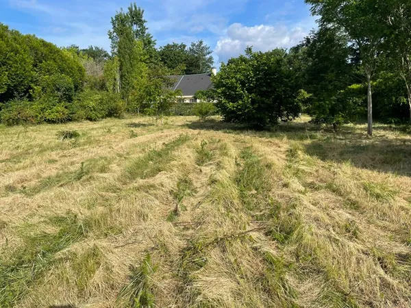 Terrain Chinon