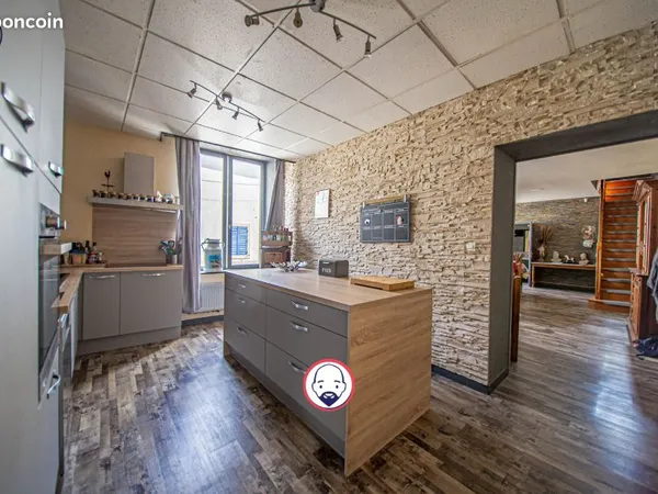 Maison de ville 5 pièces 253 m²