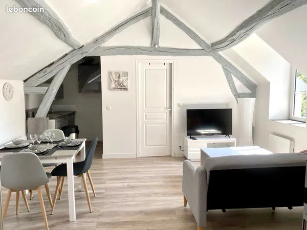 Magnifique appartement F2 meublé à louer