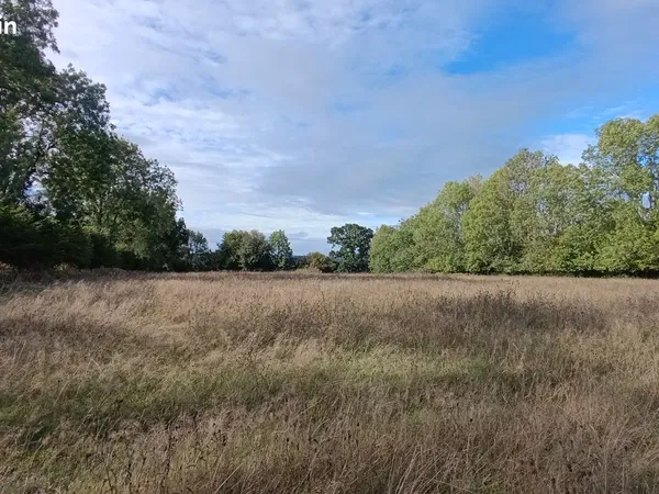 Herbage 1ha avec abri chevaux