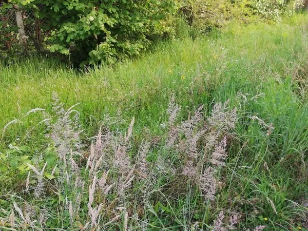 Terrain à bâtir de 590 m² à BORDEAUX (33)