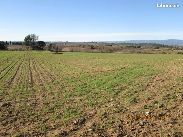 Terrain agricole