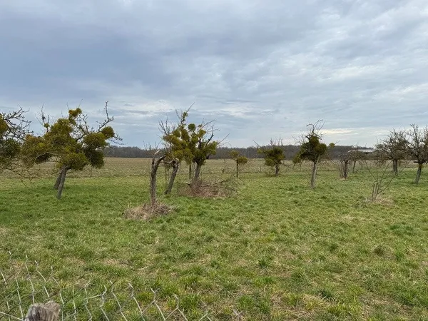 Terrain 244 m²