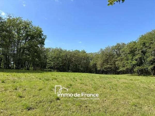 Charmant terrain plat clos et arboré de 3 242 m²