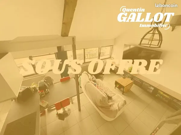 Loft 2 pièces 44 m²