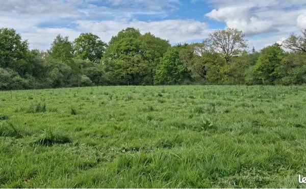 Parcelle 1,5ha en nature - idéal pâturage, herbage