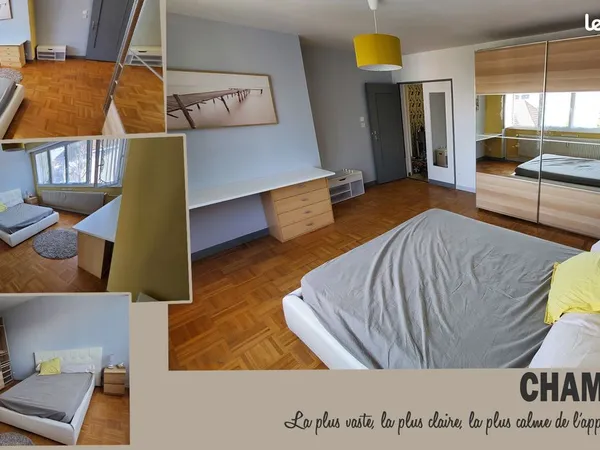Grande chambre plein Sud, dans appartement partagé Koenigshoffen de 100m²