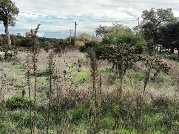 Terrain à bâtir 951 m²