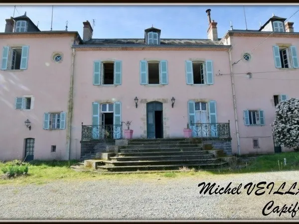 Propriété à vendre avec bâtisse de 15 pièces, 2 gîtes, terrain 7390 m², VILLENEUVE SUR ALLIER (03)
