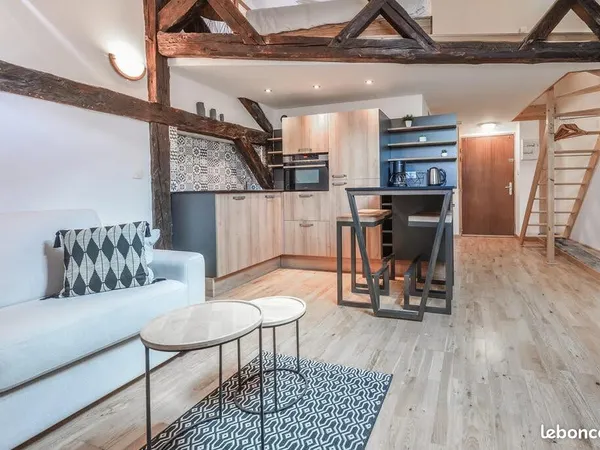 T1 - 40 M2 - Annecy Vieille Ville