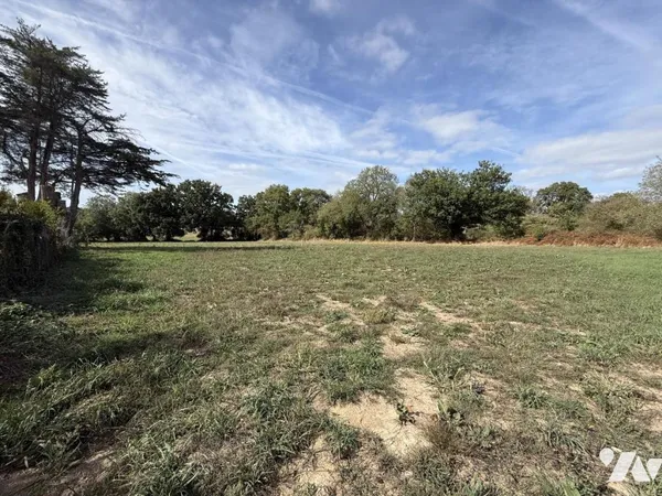 Terrain 14736 m²
