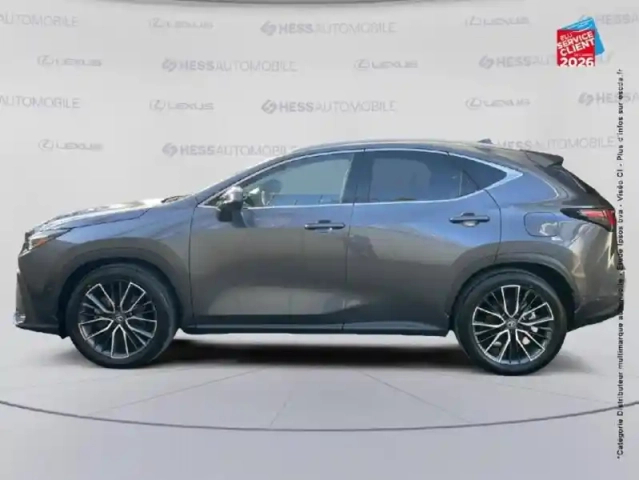 Lexus Nx 450h+ executive 4wd my25 — photo 9