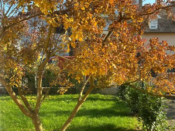 Appartement avec jardin privatif