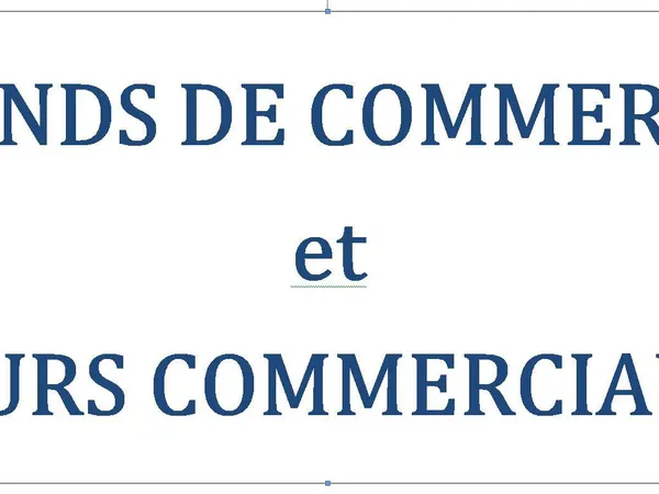 Fonds de commerce 650 m²