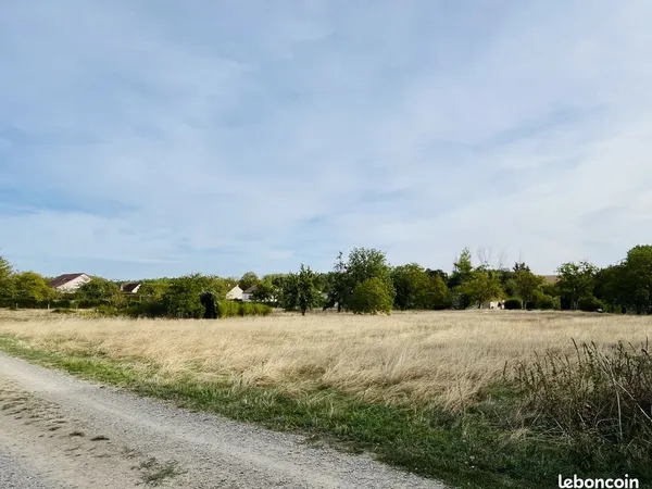 Terrain 3577 m² Saugy