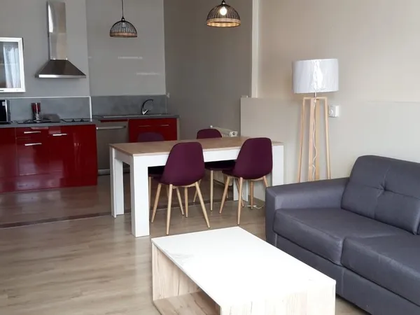 Grand studio/loft meublé à louer