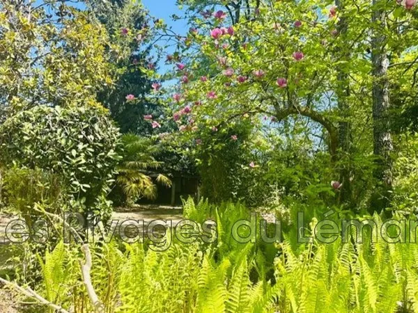 Terrain 2746 m²
