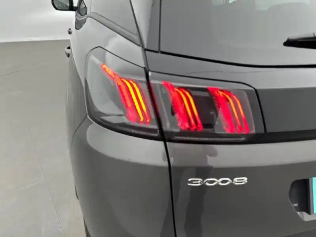 Peugeot 3008 hybrid 225 e-eat8 — photo 48