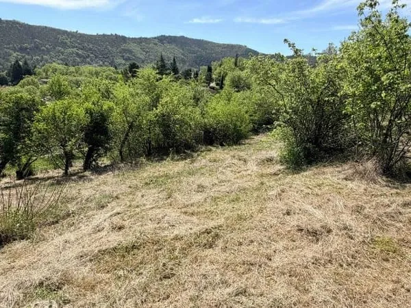 Terrain 1037 m²