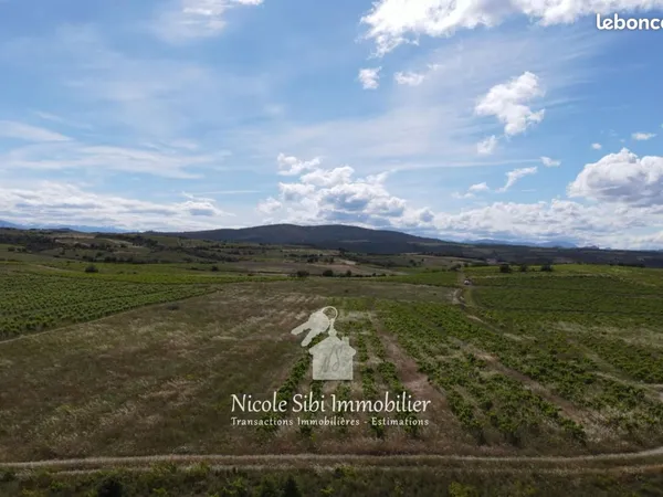 Terrain agricole 49 385 m² Montner