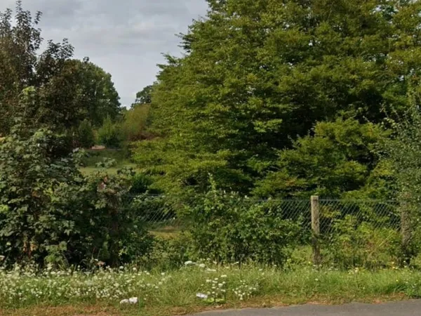 Terrain 1000 m²