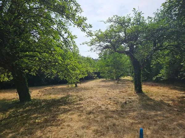 Terrain à vendre de 737,00 m² PANISSIERES (42)