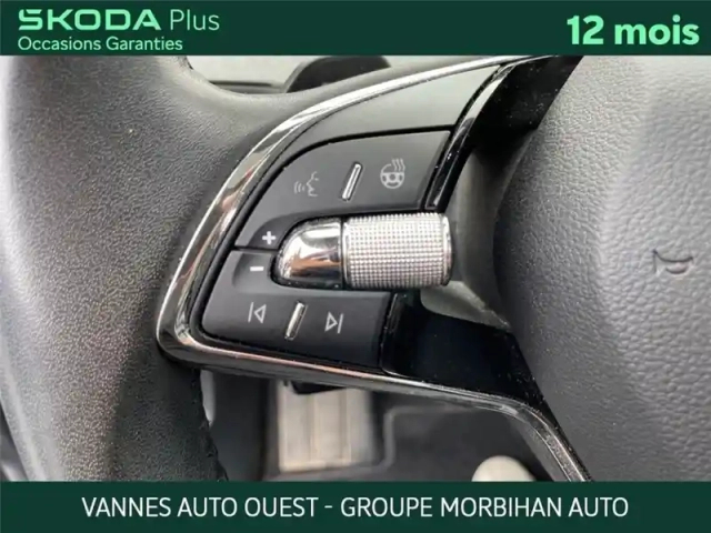 Skoda Enyaq iv 85 — photo 20