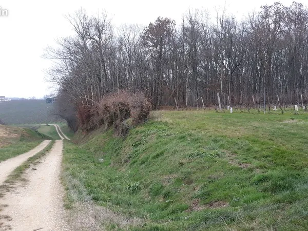 Parcelle boisée