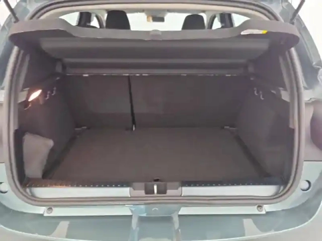 Dacia Sandero eco-g 120 auto — photo 263