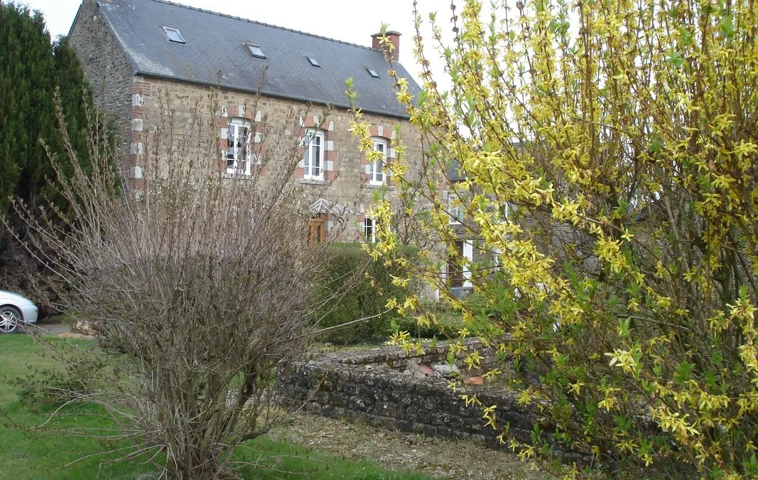 Photo 1