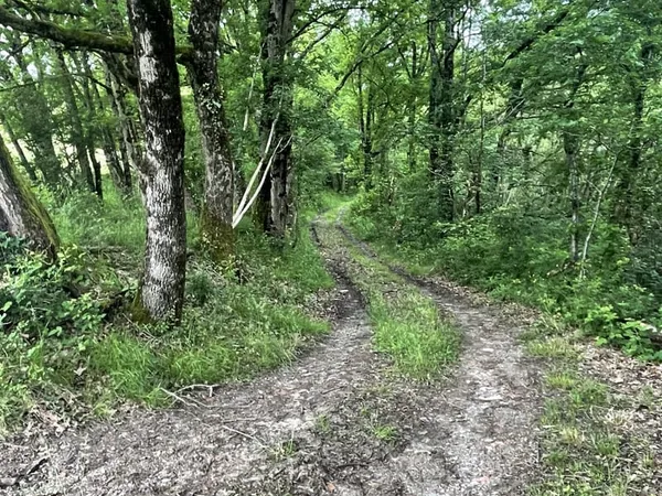 Terrain 8500 m²