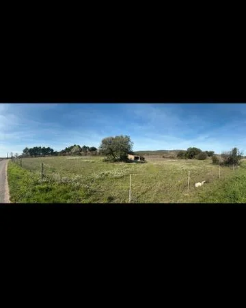 Terrain agricole