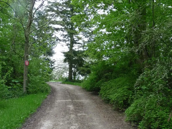 Domaine aux multiples possibilités