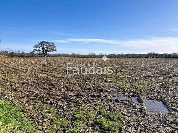 Terrain de 6.5 Hectares !
