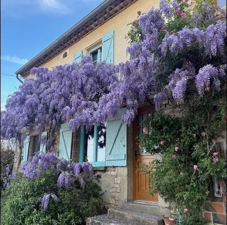 Propriété 8 pièces 275 m²