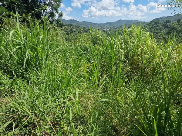 Terrain 568 m² Le Vauclin